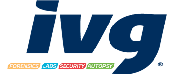 Vago International Manufacturing, S.A. de C.V. logo