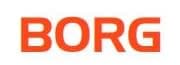 BORG ARGENTINA S.A. logo