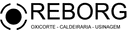Reis & Borges Ltda logo