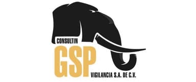 GSP Vigilancia, S.A. de C.V. logo