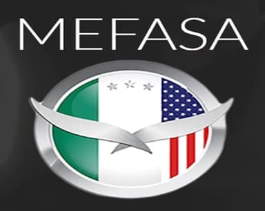 Manufacturas y Ensambles Fernández y Asociados, S.A. de C.V. logo