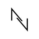 Nicoletta Valentina S.P.A. logo