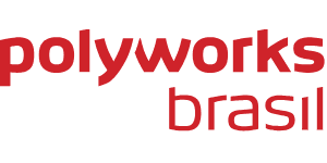 Polyworks Brasil Solucoes em Metrologia 3D Ltda logo