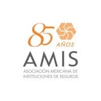 Asociación Mexicana de Instituciones de Seguros, A.C. logo