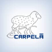 Industria e Comercio de Suprimentos Industriais Carpela Ltda logo