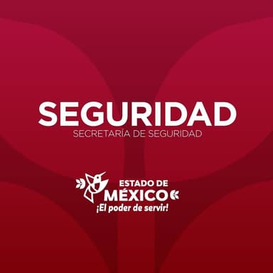 Gobierno del Estado de México logo