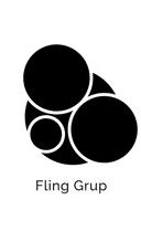 Fling Grup, S.A. de C.V. logo