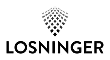 Losninger Consulting, S.A.P.I. de C.V. logo