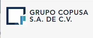 Constructora Puente y Asociados, S.A. de C.V. logo