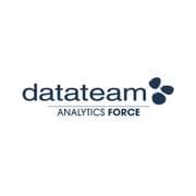 Datateam Consulting, S.A. de C.V. logo