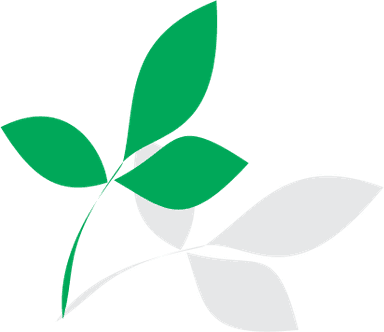 IMB PAPELES S.A. logo